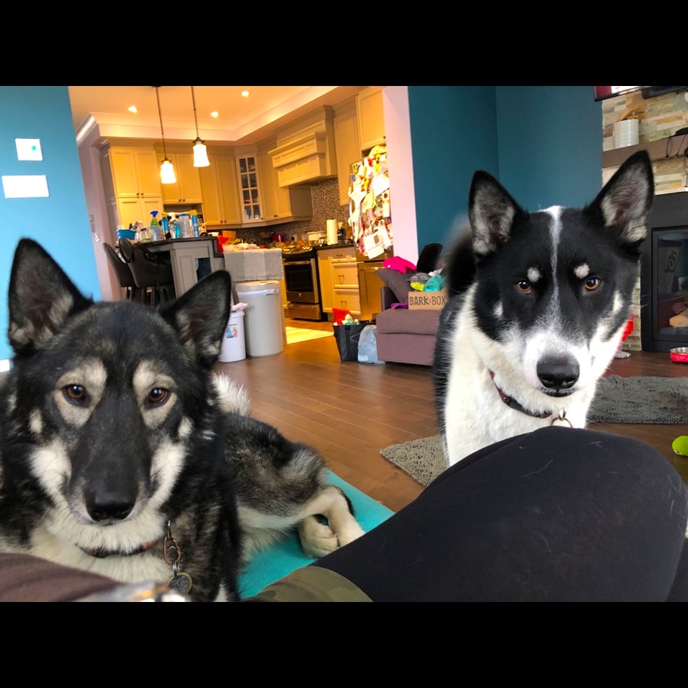 Meet your Posher, Ola